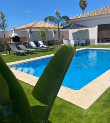 Musa del Paraíso