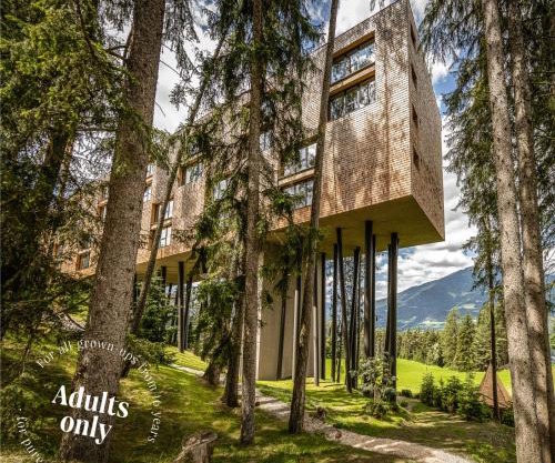 My Arbor - Dolomites