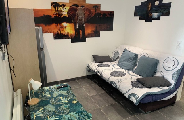 MY SAFARI NEAR THE MARNE