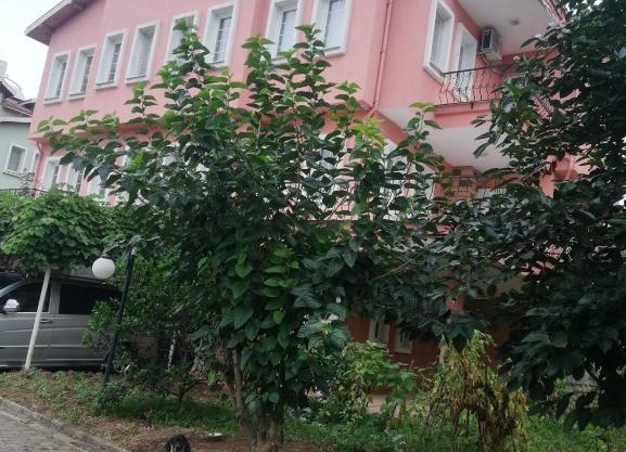 My Villa Sera Red