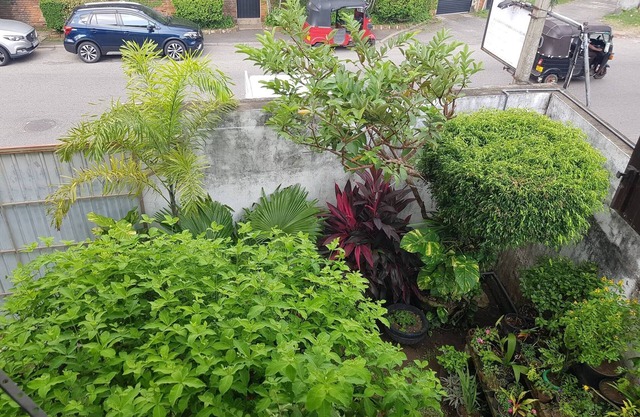 Myhavelock Town Studio Apt, With Own Pvt Gate Parking in Main City