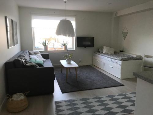 Mysig studiolägenhet i Västra Göteborg