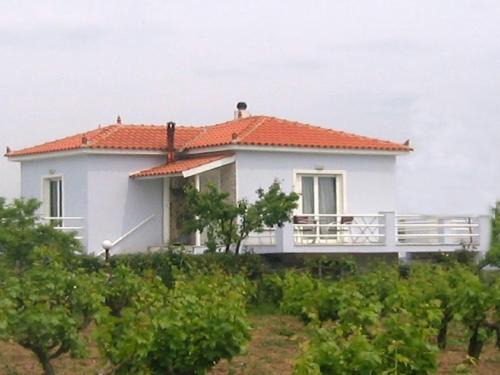 Mytilini House in Carpe Diem Villas & Houses