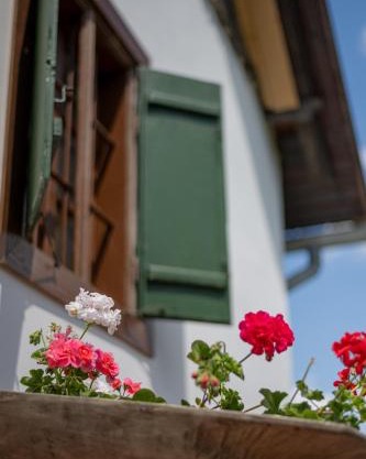 Nózsi-hegyi vendégház