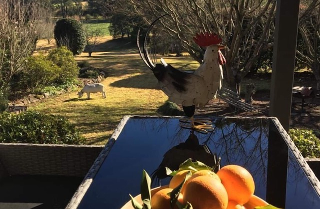 Nanny Goat Hill - a spacious kangaroo valley escape