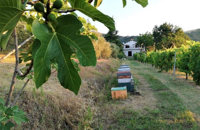 Naturaliterre BnB - Microfattoria