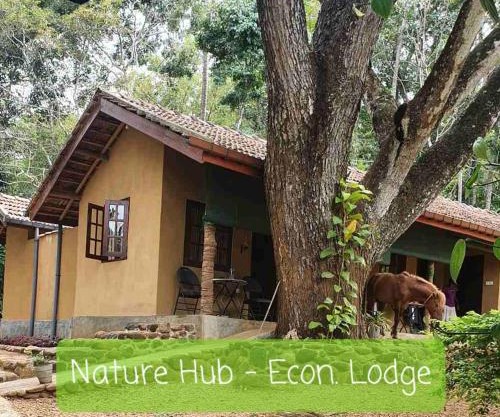 Nature Hub Econ Lodging