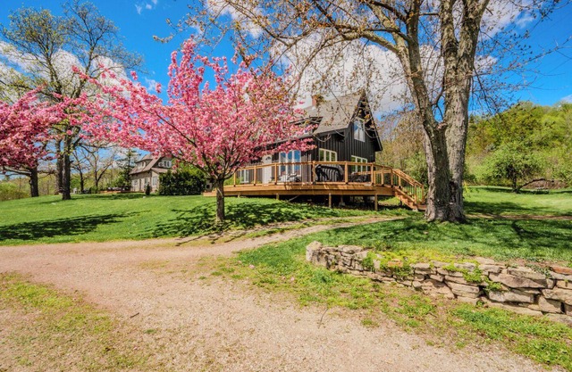 Nature Lovers' cottage on the escarpment with gorgeous views - 5 min to downtown