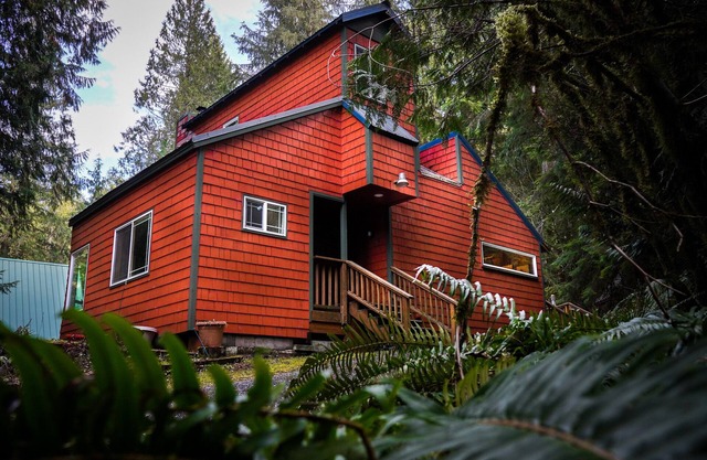 Nature's Escape! Cozy Remodeled Cabin w/Fireplace minutes to Mt. Baker