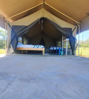 Nature's Nest Mara Camp