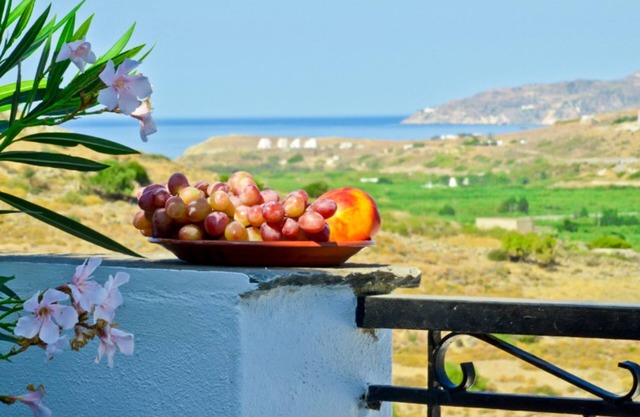 Naxos Agrotouristic studio in a quiet village