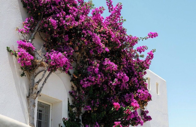 Naxos Kastraki Homey Villa with Sea View