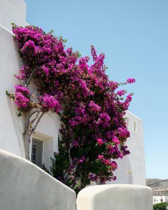 Naxos Kastraki Homey Villa with Sea View