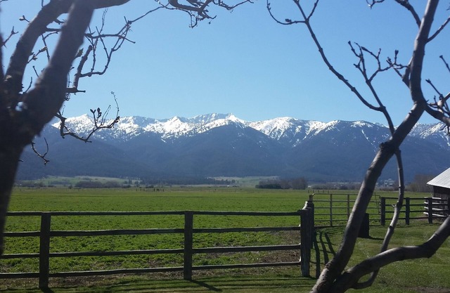 nCharming Vintage Farmhouse With Spectacular Views - sleeps up to 8