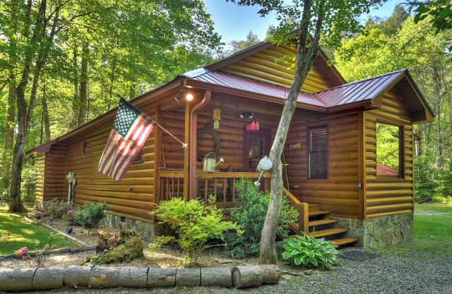 Nestled by the babbling creek, Creekside Hideaway warmly welcomes pets, offering a hot tub, over-sized screened porch with TV, firepit, and WiFi