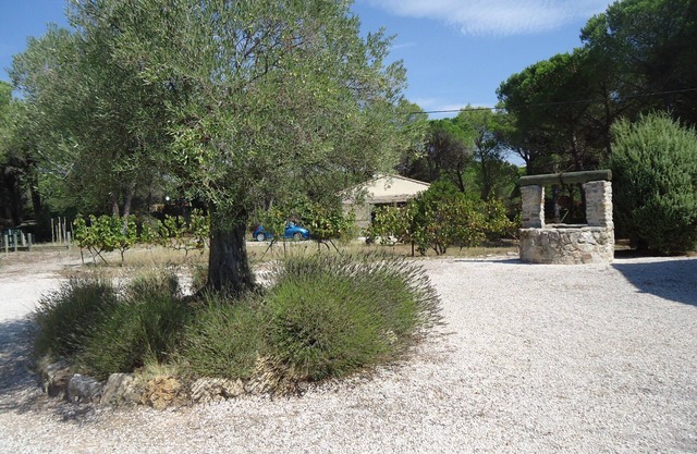 New comfortable house, air conditioned located in pine forest, semi private pool