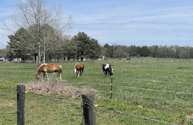 New family & pet friendly Farmhouse*Equine retreat*Allen House centrally located