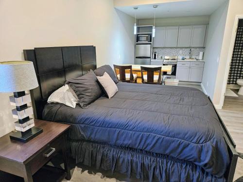 New Modern Studio in Maryville -105
