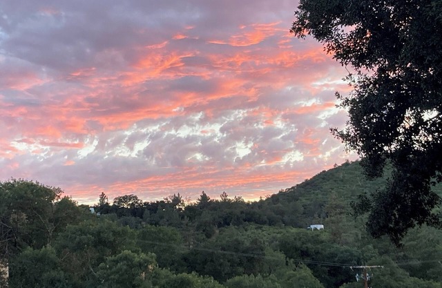 NEW Private Cabin for two, New SPA, Forested Views!