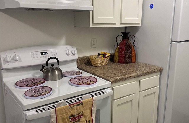 Newly Remodeled and Cozy Apartment close to MSU, Hospitals, and Entertainment!