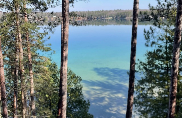 Newly Remodeled! Peaceful and Private Lakefront, The Avalon Sunshine Cottage