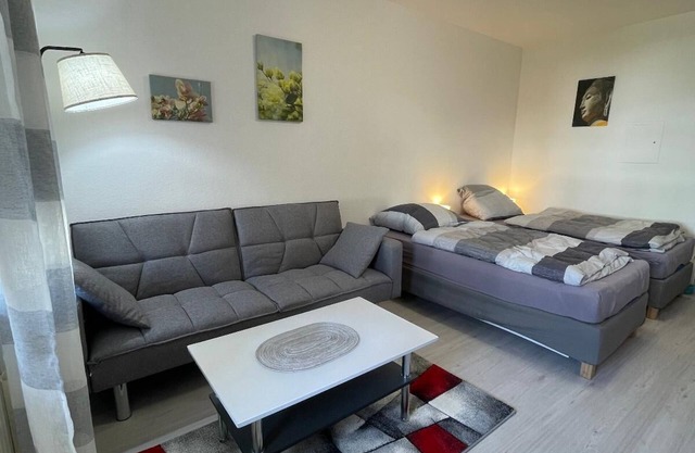 Newly renovated apartment (30sqm) with large balcony