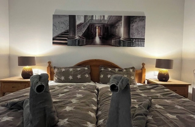 Newly renovated basement apartment