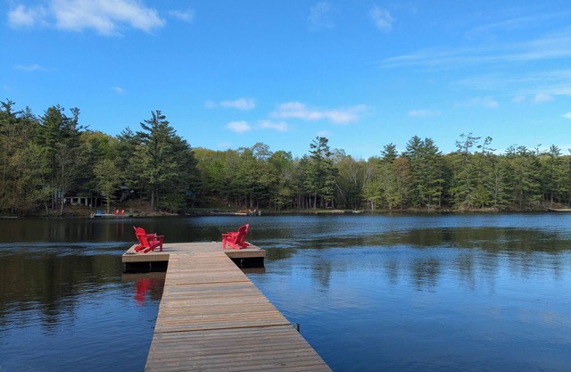 Newly Renovated Lakefront Cottage in Muskoka | Fast WiFi | Sleeps 8