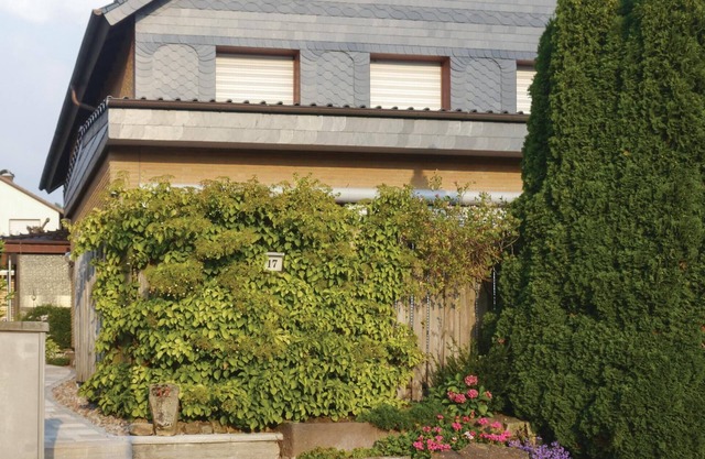 Nice apartment in Schieder-Schwalenberg