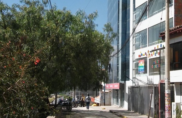 nice aparment in cusco