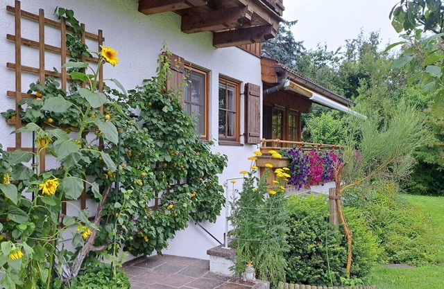 Nice apartment for 5 people with WIFI, TV, patio and pets allowed