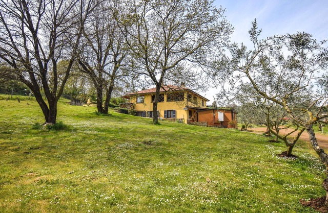 Nice apartment in Monterosi with WiFi