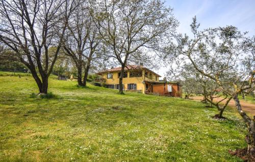 Nice Apartment In Monterosi With Wifi