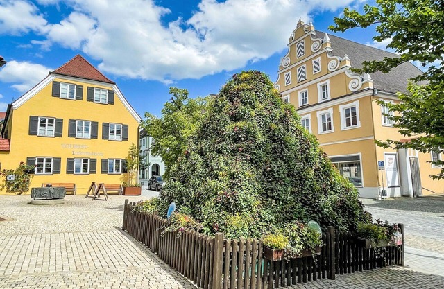 Nice apartment in villa for 4 people with A/C, WIFI, TV, terrace, pets allowed and parking