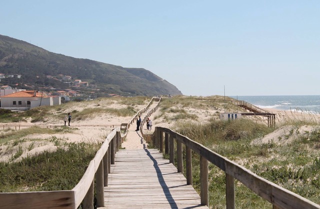 Nice apartment near beach