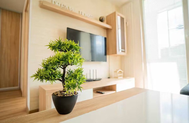 Nice flat in city