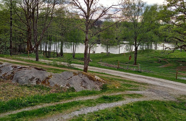 Nice home in Gislaved with 3 Bedrooms, Sauna and WiFi