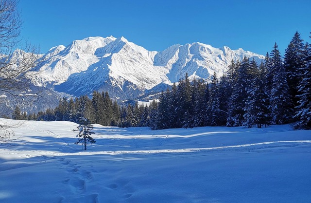 Nid Douillet Face au Mont Blanc, Emplacement Idéal été/Hiver