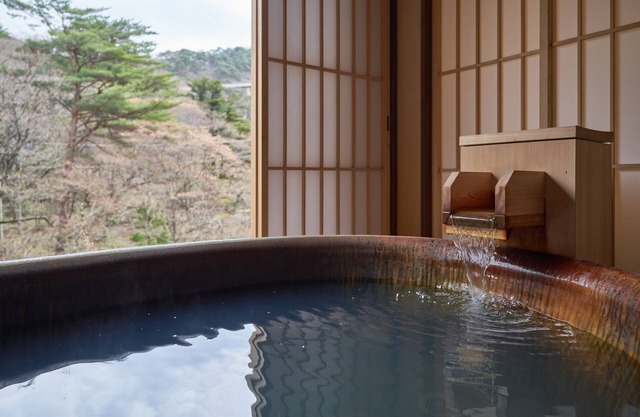 Nikko Garden Hotel