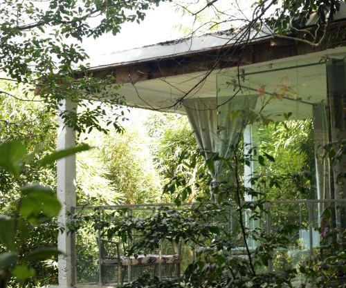 Nkofu Forest Cottage - Kitende