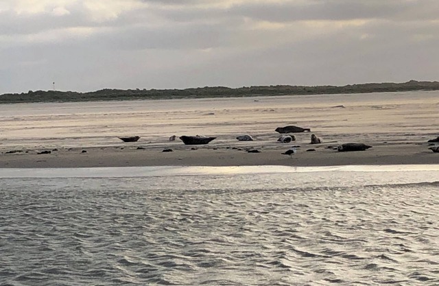 Non-smoking - vacation apartment near the coast - directly on the dike