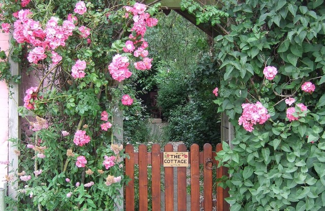 Norfolk, Cosy Beamed Cottage Close Sandy Beaches/Broadland. Peaceful Location.