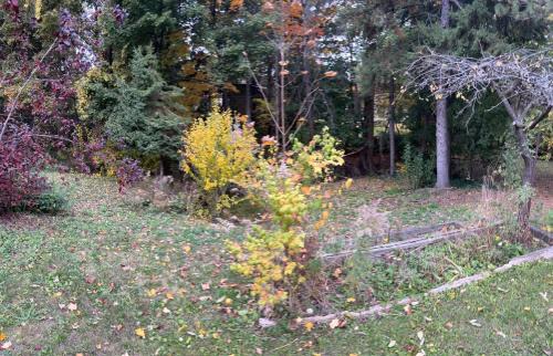Northwood