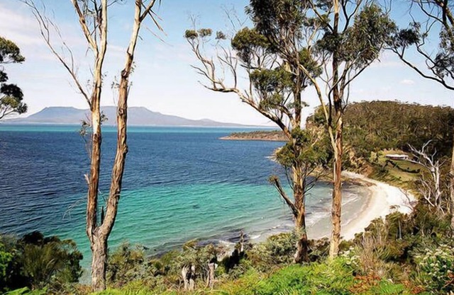 Nosh Holiday: Luxury Ecofriendly Spring Beach Home