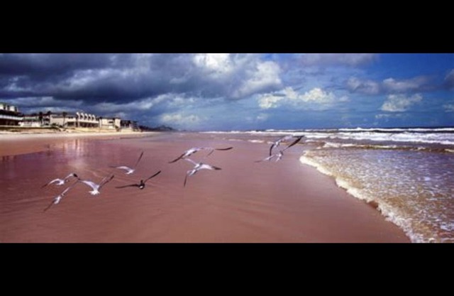 NOW AVAILABLE! POOL HOME, PET FRIENDLY NEAR THE BEACH