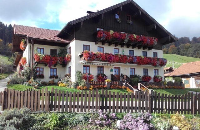 Nussbaumer am Irrsee