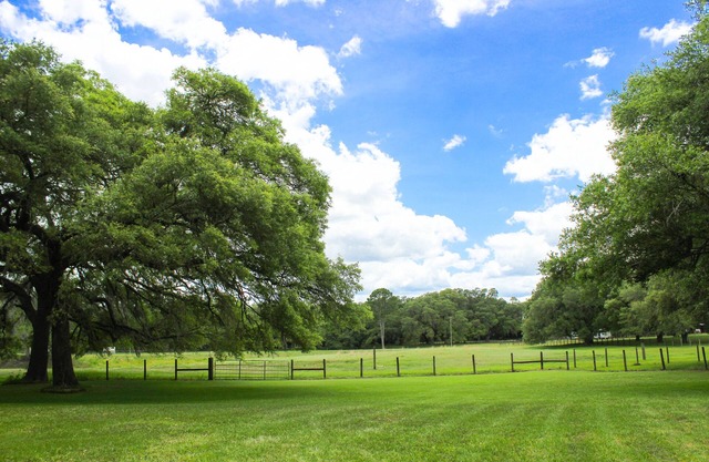 Oak Flats Farm - Pet Friendly - Star Link - Outdoor Shower