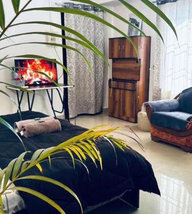 Oak & olive homestay