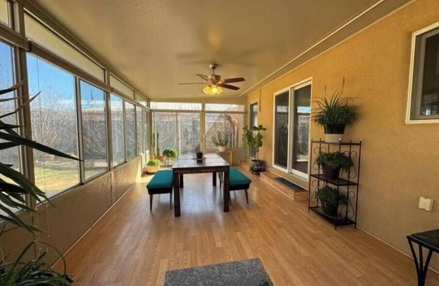 Oasis in Albuquerque