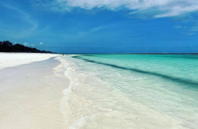 Ocean Bliss BeachFront Villa by YourHost,5 Bedroom,Diani